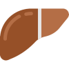 Sankalpa Dignostics Liver icon